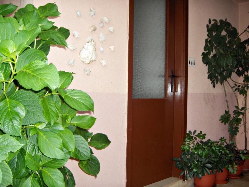 Guest House Roza Vrboska Pokoj fotografie