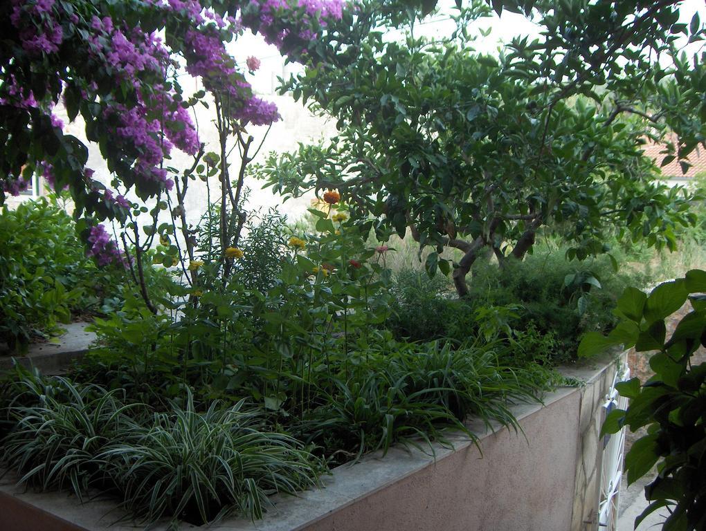 Guest House Roza Vrboska Pokoj fotografie